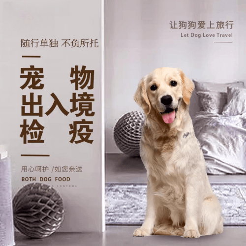 临汾市宠物托运到哥伦比亚猫狗宠物入境规定和