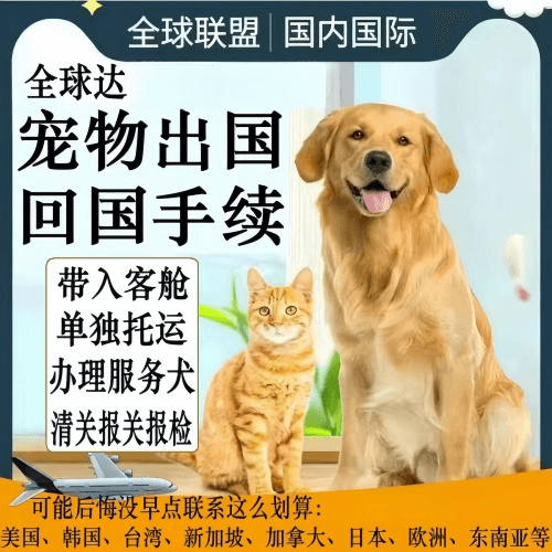 临汾市宠物托运到柬埔寨宠物入境规定和要求