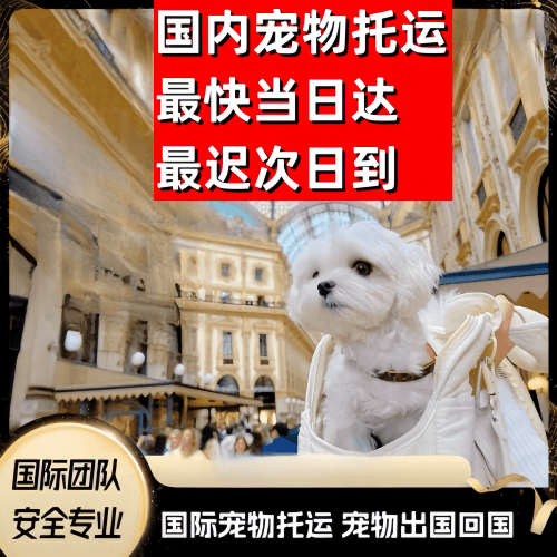 临汾市到澳大利亚（澳洲）宠物入境规定和要求